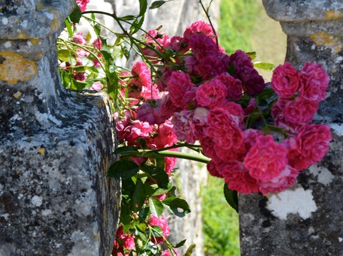 Le jardin du Château de Clauzuroux, chambres d'hôtes et location de gîtes à Champagne et Fontaine en Dordogne proche de Périgueux et d'Angoulême