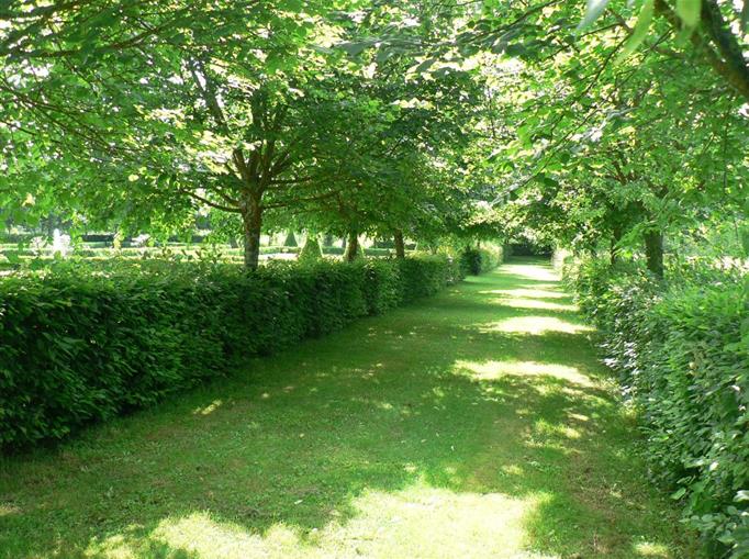 Le jardin du Château de Clauzuroux, chambres d'hôtes et location de gîtes à Champagne et Fontaine en Dordogne proche de Périgueux et d'Angoulême