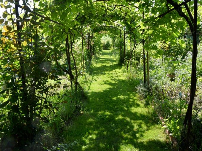 Le jardin du Château de Clauzuroux, chambres d'hôtes et location de gîtes à Champagne et Fontaine en Dordogne proche de Périgueux et d'Angoulême