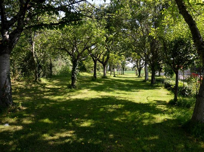 Le jardin du Château de Clauzuroux, chambres d'hôtes et location de gîtes à Champagne et Fontaine en Dordogne proche de Périgueux et d'Angoulême
