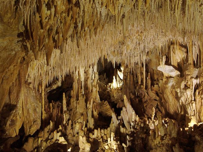 Grotte de Villars proche du Château de Clauzuroux, chambres d'hôtes et location de gîtes à Champagne et Fontaine en Dordogne proche de Périgueux et d'Angoulême